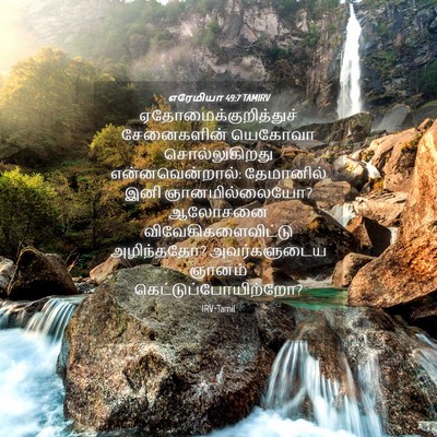 Picture 04 - எரேமியா 49:7 TAMIRV -  - Bible Verse Picture