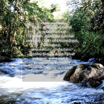 Picture 04 - எரேமியா 49:9 TAMIRV -  - Bible Verse Picture