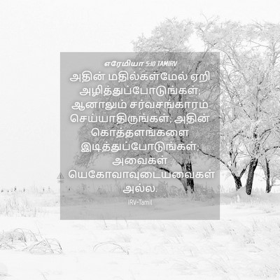 Picture 04 - எரேமியா 5:10 TAMIRV - அதின் - Bible Verse Picture