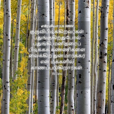 Picture 04 - எரேமியா 5:26 TAMIRV -  - Bible Verse Picture