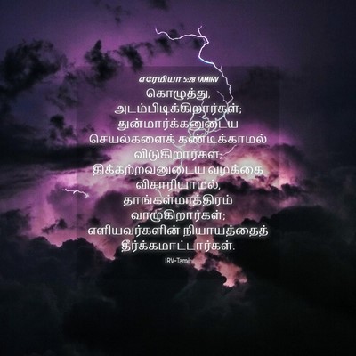 Picture 04 - எரேமியா 5:28 TAMIRV - கொழுத்து, - Bible Verse Picture