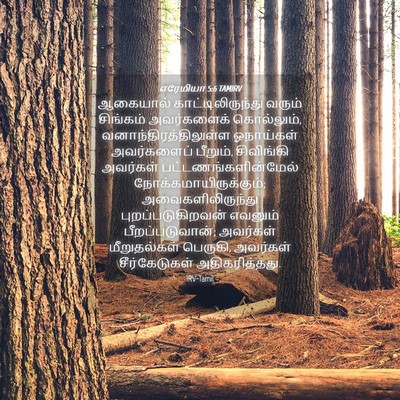Picture 04 - எரேமியா 5:6 TAMIRV - ஆகையால் - Bible Verse Picture