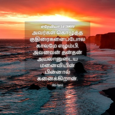 Picture 04 - எரேமியா 5:8 TAMIRV - அவர்கள் கொழுத்த - Bible Verse Picture