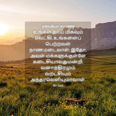 Picture 04 - எரேமியா 50:12 TAMIRV - உங்கள் தாய் - Bible Verse Picture