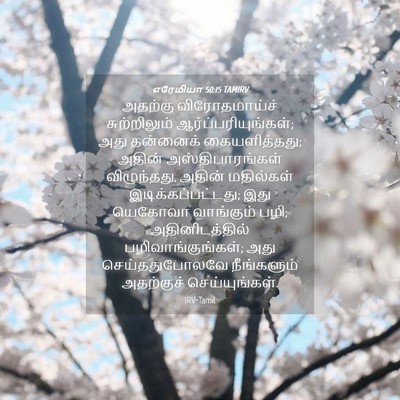 Picture 04 - எரேமியா 50:15 TAMIRV - அதற்கு - Bible Verse Picture