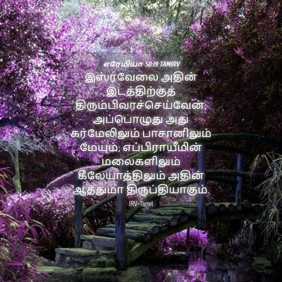 Picture 04 - எரேமியா 50:19 TAMIRV - இஸ்ரவேலை அதின் - Bible Verse Picture