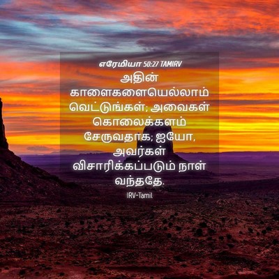Picture 04 - எரேமியா 50:27 TAMIRV - அதின் - Bible Verse Picture