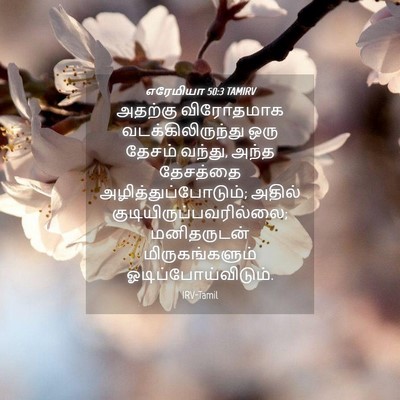 Picture 04 - எரேமியா 50:3 TAMIRV - அதற்கு விரோதமாக - Bible Verse Picture