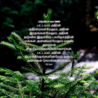 Picture 04 - எரேமியா 50:37 TAMIRV - பட்டயம் அதின் - Bible Verse Picture