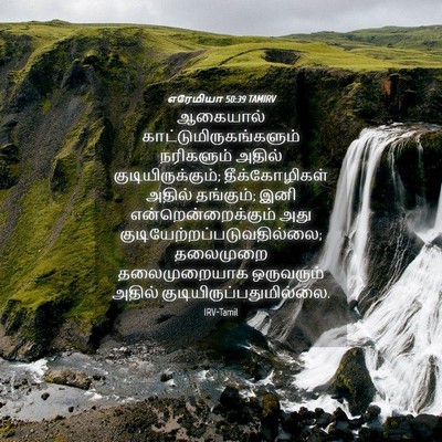 Picture 04 - எரேமியா 50:39 TAMIRV - ஆகையால் - Bible Verse Picture
