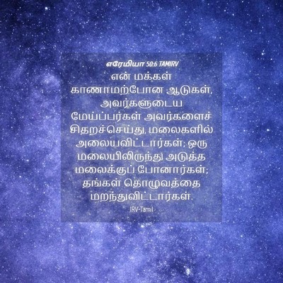 Picture 04 - எரேமியா 50:6 TAMIRV - என் மக்கள் - Bible Verse Picture