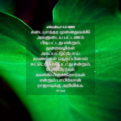Picture 04 - எரேமியா 51:31 TAMIRV - கடையாந்தர - Bible Verse Picture