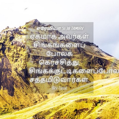 Picture 04 - எரேமியா 51:38 TAMIRV - ஏகமாக அவர்கள் - Bible Verse Picture