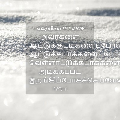 Picture 04 - எரேமியா 51:40 TAMIRV - அவர்களை - Bible Verse Picture