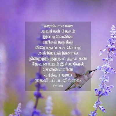Picture 04 - எரேமியா 51:5 TAMIRV - அவர்கள் தேசம் - Bible Verse Picture