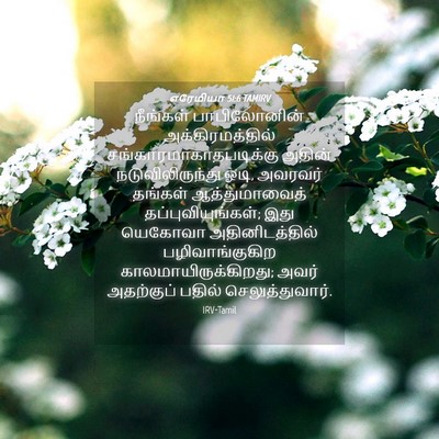 Picture 04 - எரேமியா 51:6 TAMIRV - நீங்கள் - Bible Verse Picture