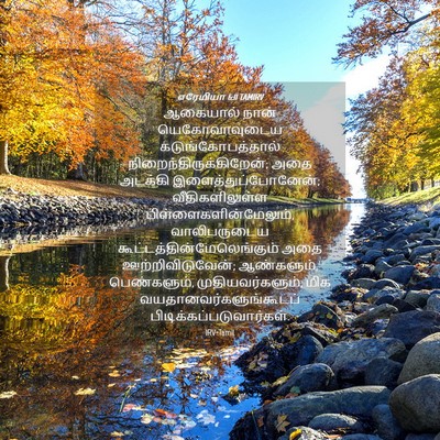 Picture 04 - எரேமியா 6:11 TAMIRV - ஆகையால் நான் - Bible Verse Picture