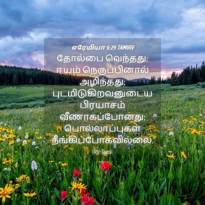 Picture 04 - எரேமியா 6:29 TAMIRV - தோல்பை வெந்தது; - Bible Verse Picture