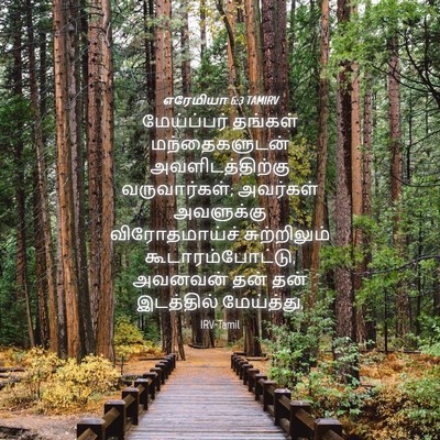 Picture 04 - எரேமியா 6:3 TAMIRV - மேய்ப்பர் தங்கள் - Bible Verse Picture