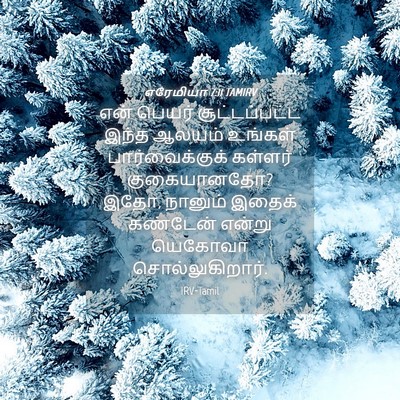 Picture 04 - எரேமியா 7:11 TAMIRV - என் பெயர் - Bible Verse Picture