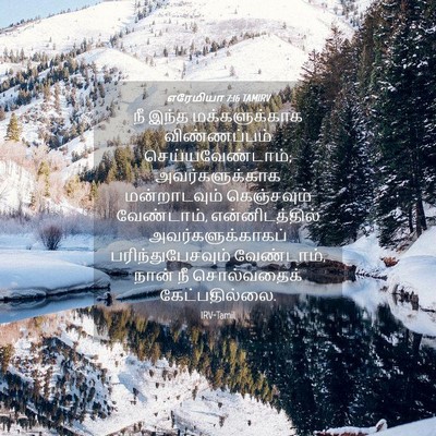 Picture 04 - எரேமியா 7:16 TAMIRV - நீ இந்த - Bible Verse Picture