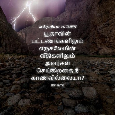 Picture 04 - எரேமியா 7:17 TAMIRV - யூதாவின் - Bible Verse Picture