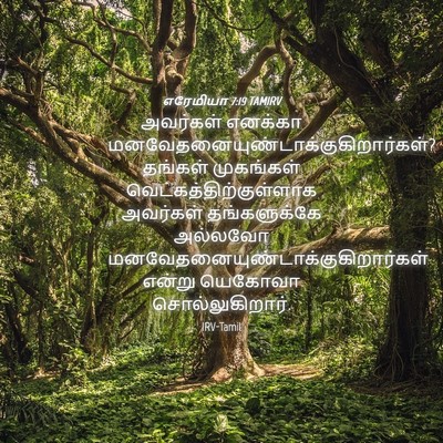 Picture 04 - எரேமியா 7:19 TAMIRV - அவர்கள் எனக்கா - Bible Verse Picture
