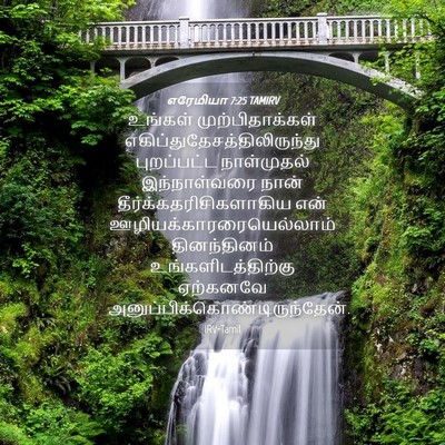 Picture 04 - எரேமியா 7:25 TAMIRV - உங்கள் - Bible Verse Picture