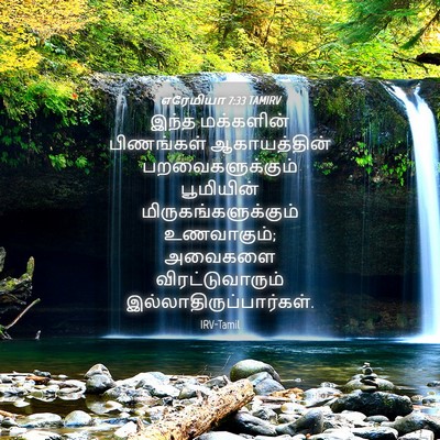Picture 04 - எரேமியா 7:33 TAMIRV - இந்த மக்களின் - Bible Verse Picture