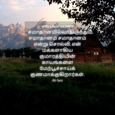 Picture 04 - எரேமியா 8:11 TAMIRV -  - Bible Verse Picture