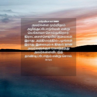 Picture 04 - எரேமியா 8:13 TAMIRV - அவர்களை - Bible Verse Picture