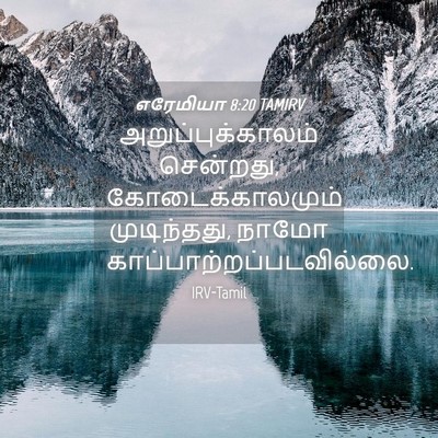 Picture 04 - எரேமியா 8:20 TAMIRV - அறுப்புக்காலம் - Bible Verse Picture