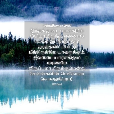 Picture 04 - எரேமியா 8:3 TAMIRV - இந்தத் துஷ்ட - Bible Verse Picture