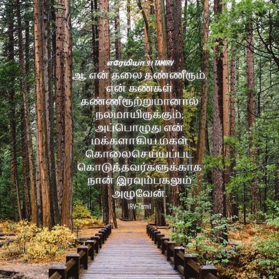 Picture 04 - எரேமியா 9:1 TAMIRV - ஆ, என் தலை - Bible Verse Picture