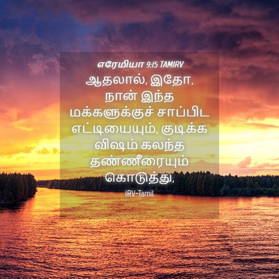 Picture 04 - எரேமியா 9:15 TAMIRV - ஆதலால், இதோ, நான் - Bible Verse Picture