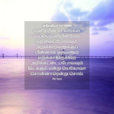 Picture 04 - எரேமியா 9:22 TAMIRV - மனிதரின் சடலங்கள் - Bible Verse Picture