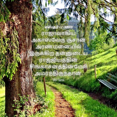 Picture 04 - எஸ்தர் 1:2 TAMIRV - ராஜாவாகிய - Bible Verse Picture