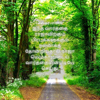 Picture 04 - எஸ்தர் 1:21 TAMIRV - இந்த வார்த்தை - Bible Verse Picture