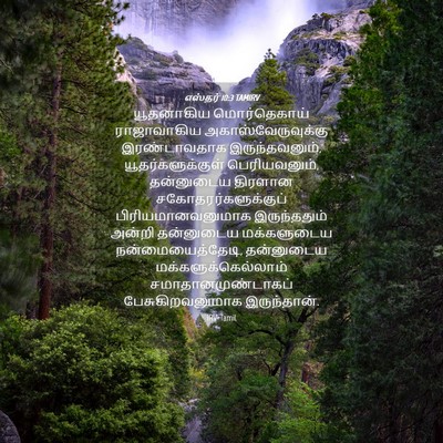 Picture 04 - எஸ்தர் 10:3 TAMIRV - யூதனாகிய - Bible Verse Picture