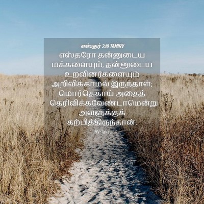 Picture 04 - எஸ்தர் 2:10 TAMIRV - எஸ்தரோ தன்னுடைய - Bible Verse Picture