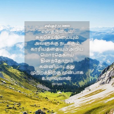 Picture 04 - எஸ்தர் 2:11 TAMIRV - எஸ்தருடைய - Bible Verse Picture