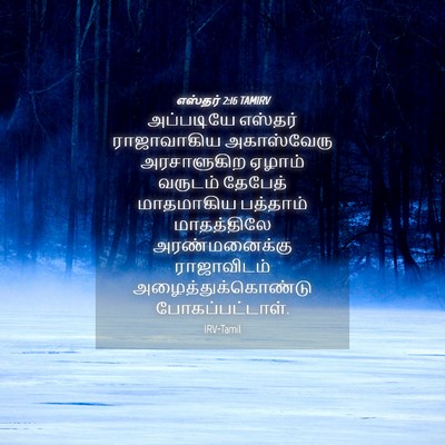 Picture 04 - எஸ்தர் 2:16 TAMIRV - அப்படியே எஸ்தர் - Bible Verse Picture