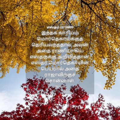 Picture 04 - எஸ்தர் 2:22 TAMIRV - இந்தக் காரியம் - Bible Verse Picture