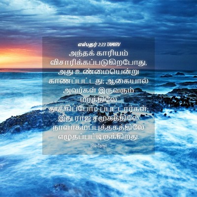 Picture 04 - எஸ்தர் 2:23 TAMIRV - அந்தக் காரியம் - Bible Verse Picture