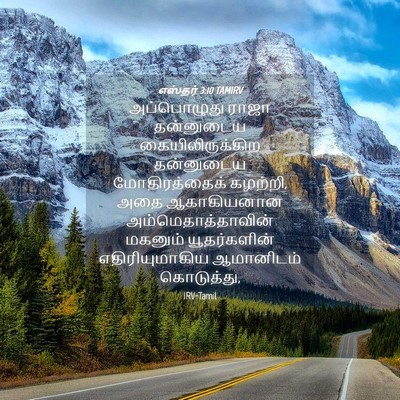 Picture 04 - எஸ்தர் 3:10 TAMIRV - அப்பொழுது ராஜா - Bible Verse Picture