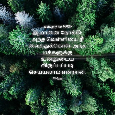 Picture 04 - எஸ்தர் 3:11 TAMIRV - ஆமானை நோக்கி: அந்த - Bible Verse Picture