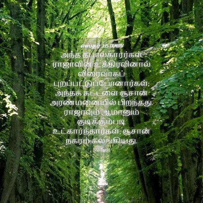 Picture 04 - எஸ்தர் 3:15 TAMIRV - அந்த - Bible Verse Picture