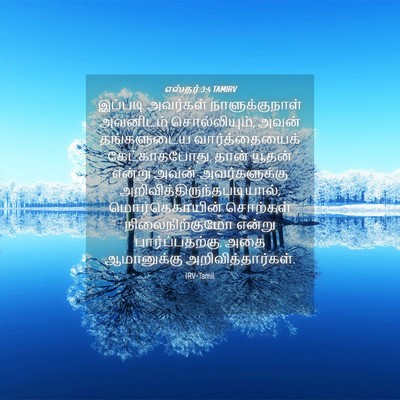 Picture 04 - எஸ்தர் 3:4 TAMIRV - இப்படி அவர்கள் - Bible Verse Picture