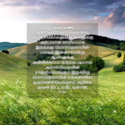 Picture 04 - எஸ்தர் 3:6 TAMIRV - ஆனாலும் - Bible Verse Picture
