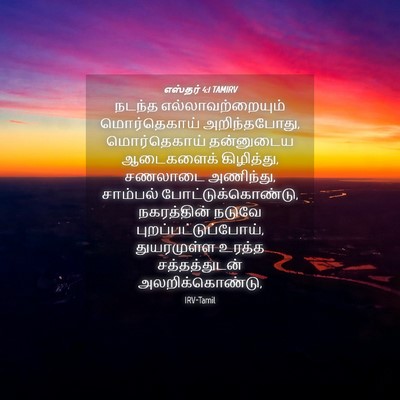 Picture 04 - எஸ்தர் 4:1 TAMIRV - நடந்த - Bible Verse Picture